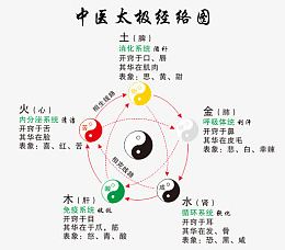 太极经络图