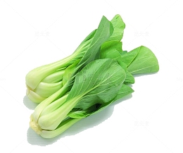 两颗小白菜