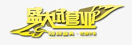 盛大试营业