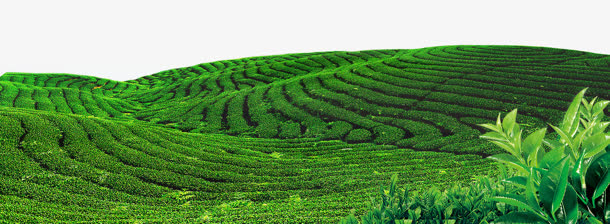 茶山素材免费下载_觅元素