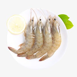 高清摄影装成一盘的基围虾