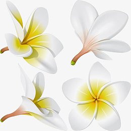手绘创意合成鸡蛋花