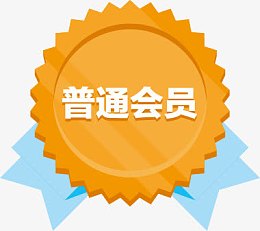 创意扁平手绘风格勋章普通会员