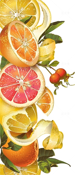 复古橙子柠檬蜂蜜矢量背景