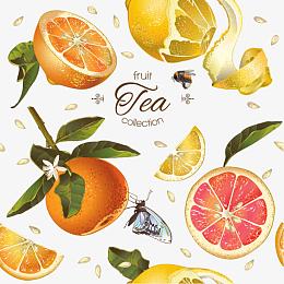 复古橙子柠檬蜂蜜矢量背景