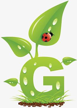 字母G