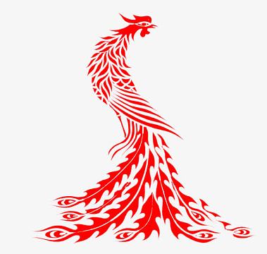 凤凰花矢量图素材-凤凰花矢量图图片元素-觅元素