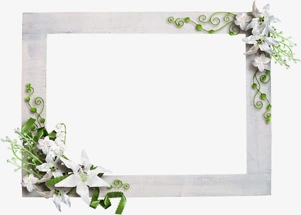 清新白色鲜花装饰相框