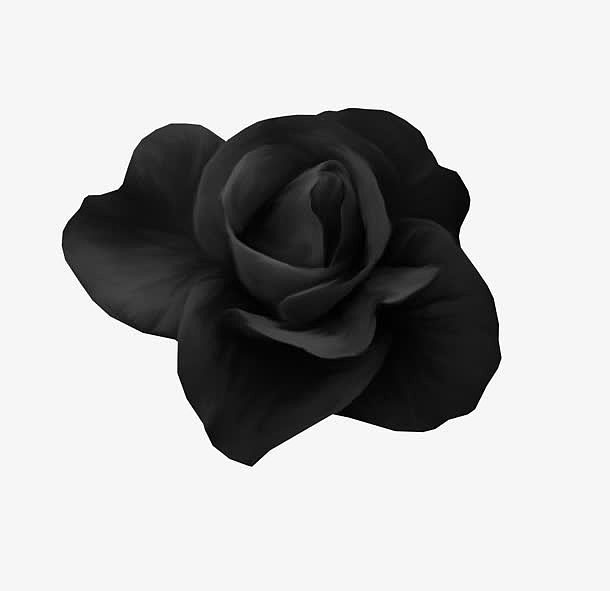 创意手绘黑色玫瑰花