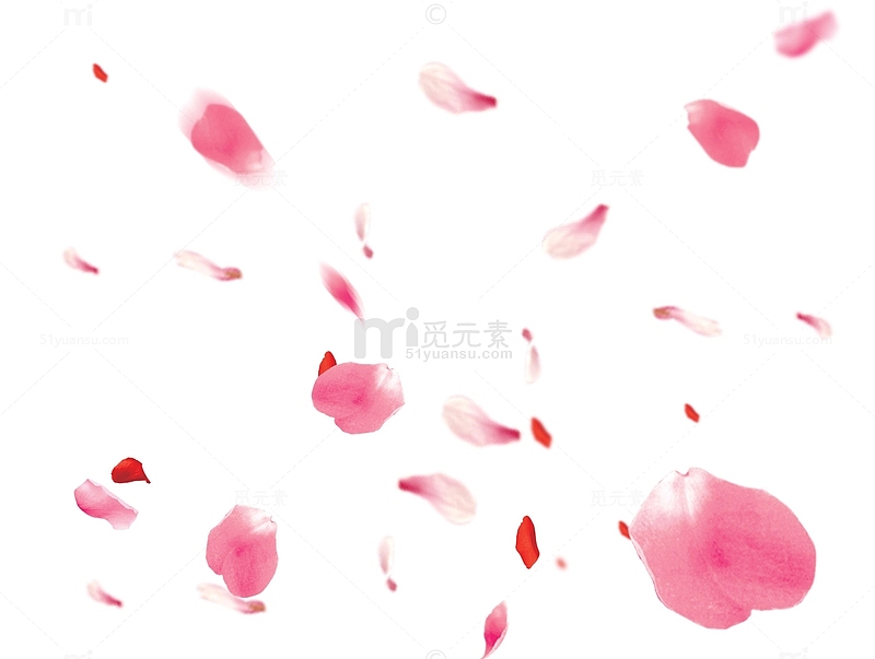 粉色漂浮玫瑰花瓣装饰