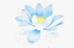 手绘蓝色清新莲花装饰