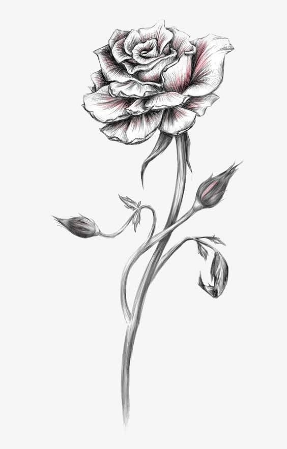 黑色水墨风中的玫瑰花