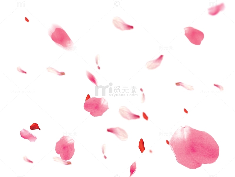 飞舞悬浮的樱花瓣