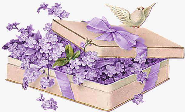 紫色唯美花朵植物礼盒鸽子