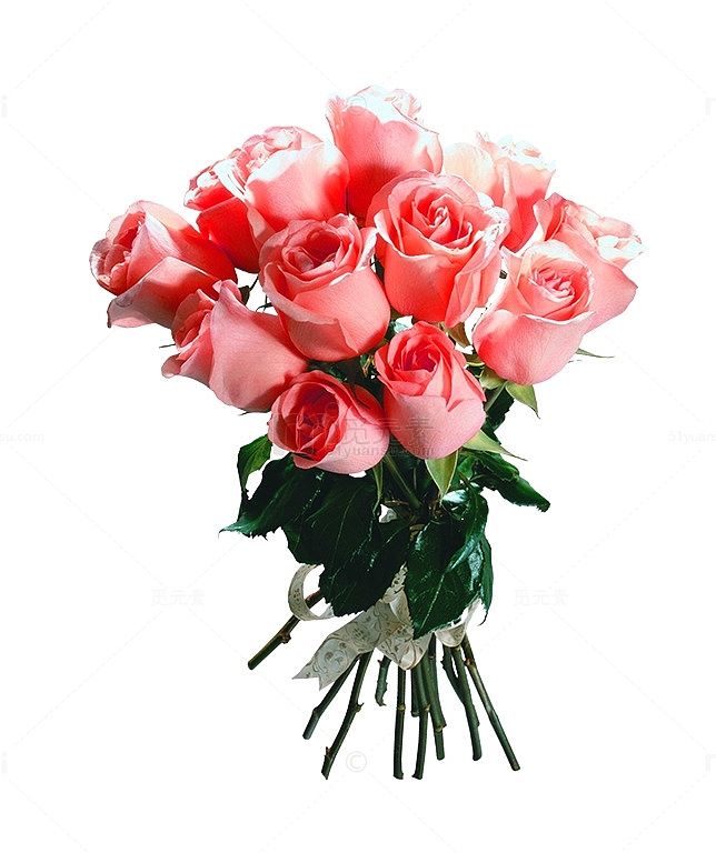 粉色温馨新鲜玫瑰花束
