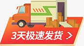 双双11极速发货图标