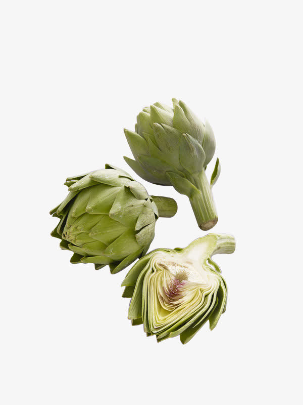 新鲜奶蓟植物果实