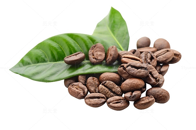 咖啡豆清晰图片素材