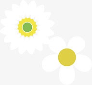 卡通唯美花朵雏菊