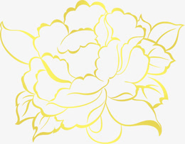 手绘金色牡丹花图片