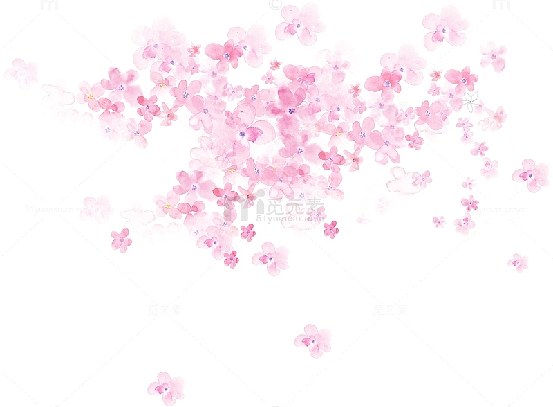 粉色花朵花海植物花瓣