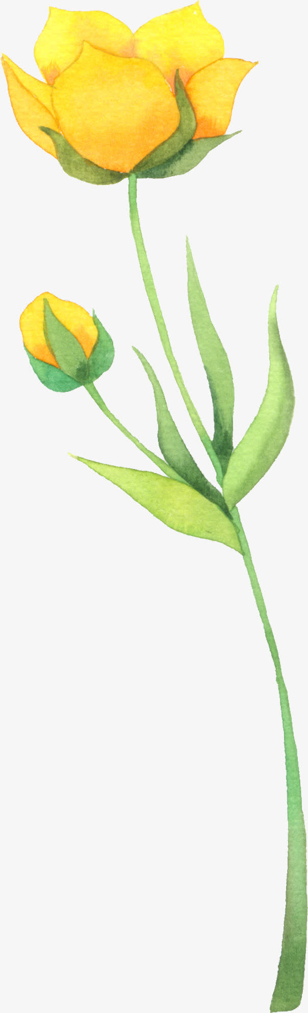 手绘黄色卡通艺术花朵唯美