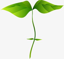 手绘绿色环保树叶发芽