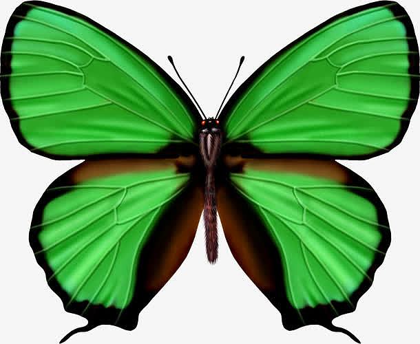 手绘绿色唯美创意蝴蝶