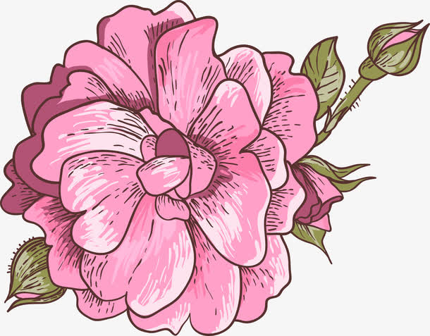 手绘扁平红色的花卉图案