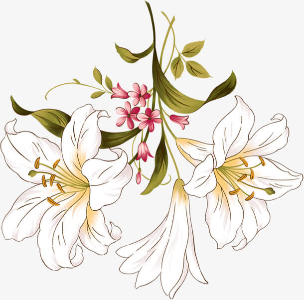 创意合成手绘春天的百合