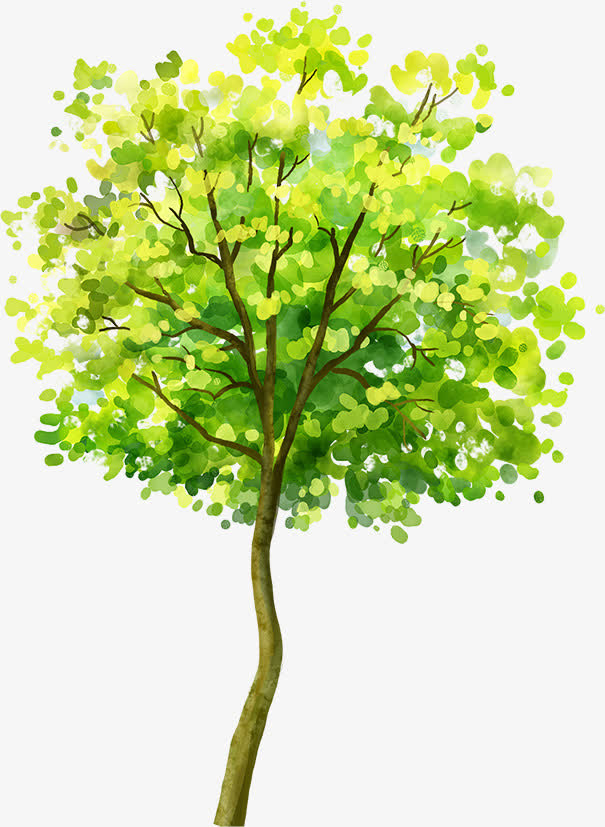 手绘绿色大树梦幻