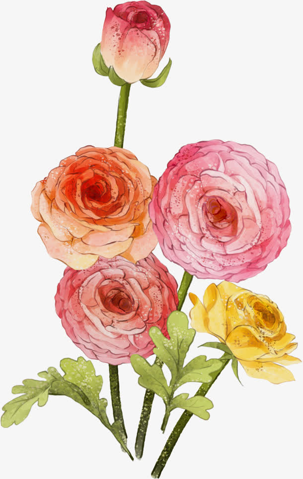 手绘粉色玫瑰创意插画免抠素材免费下载
