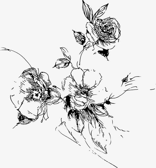 手绘黑色线条花卉免抠素材免费下载_觅元素51yuansu.com