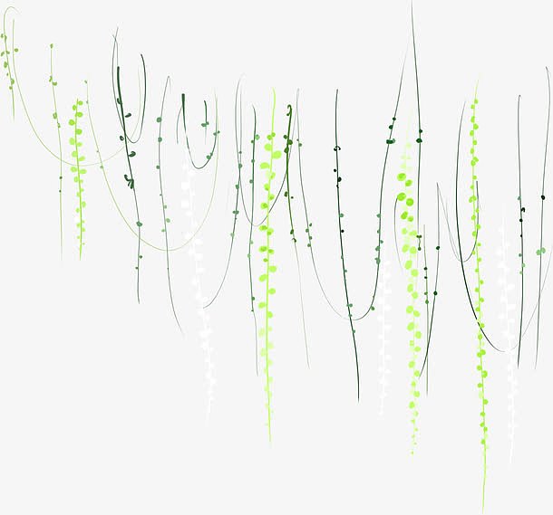 手绘垂柳造型植物藤条