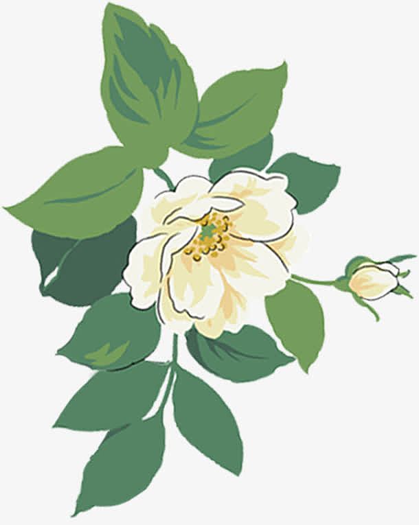 手绘白色花卉春节卡片