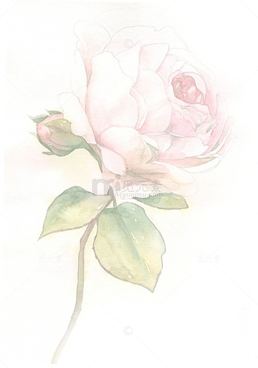 手绘玫瑰感恩母亲节海报