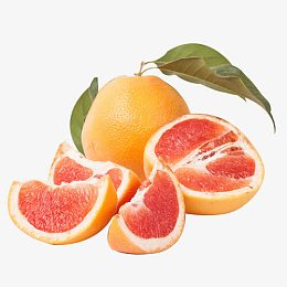 柚子食品素材