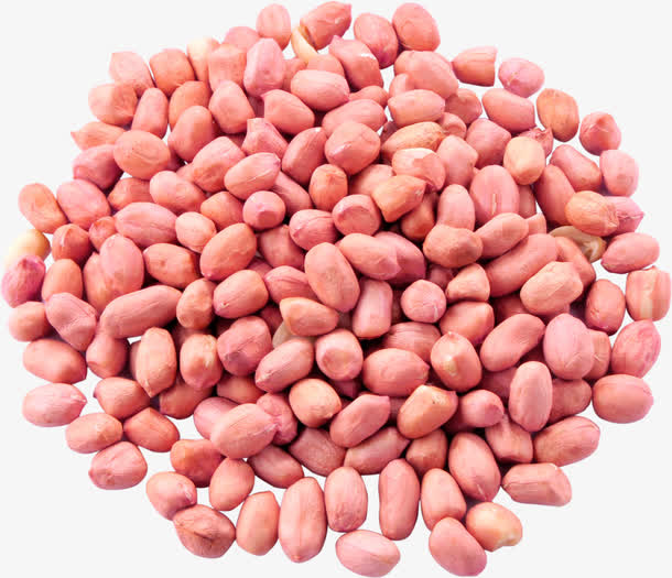 花生米素材免费下载_觅元素