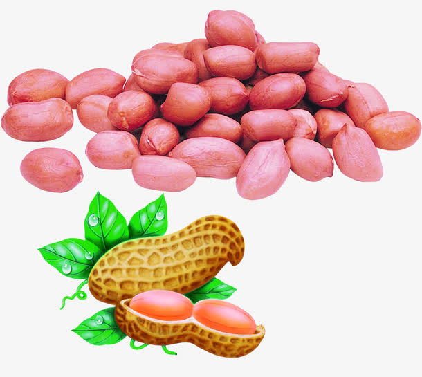 花生素材免费下载_觅元素