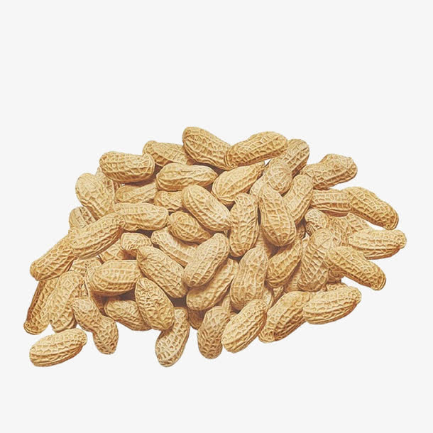 花生素材免费下载_觅元素