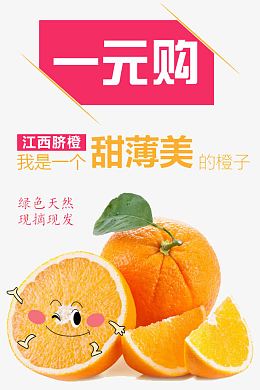 一元购江西脐橙海报