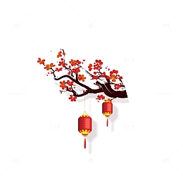 腊梅红灯笼