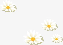 白色卡通手绘雏菊花朵