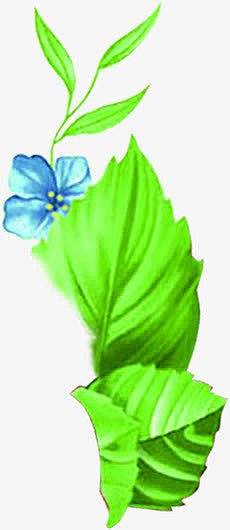 绿色手绘植物蓝色小花