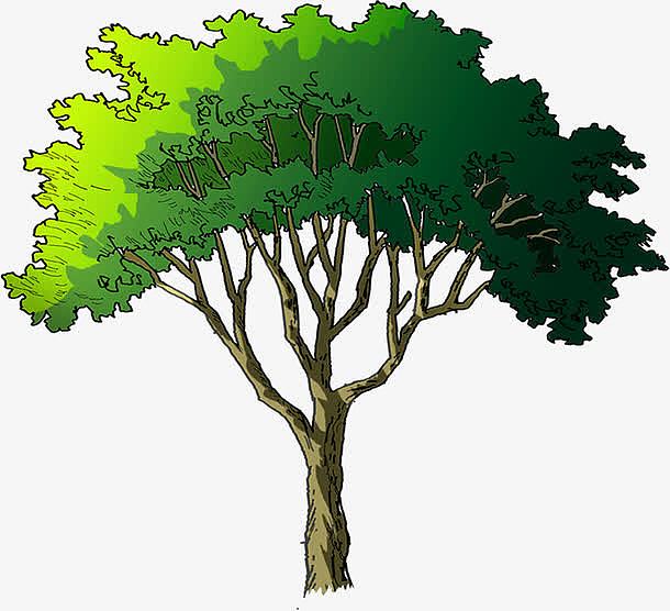 绿色手绘景观植物大树