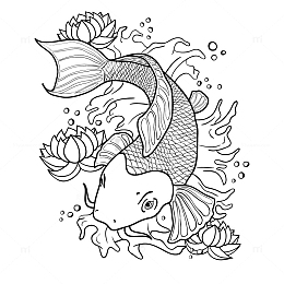 矢量黑色鲤鱼