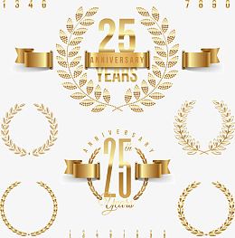 矢量25周年庆