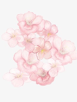 手绘樱花