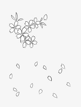 樱花花瓣