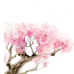 水墨樱花